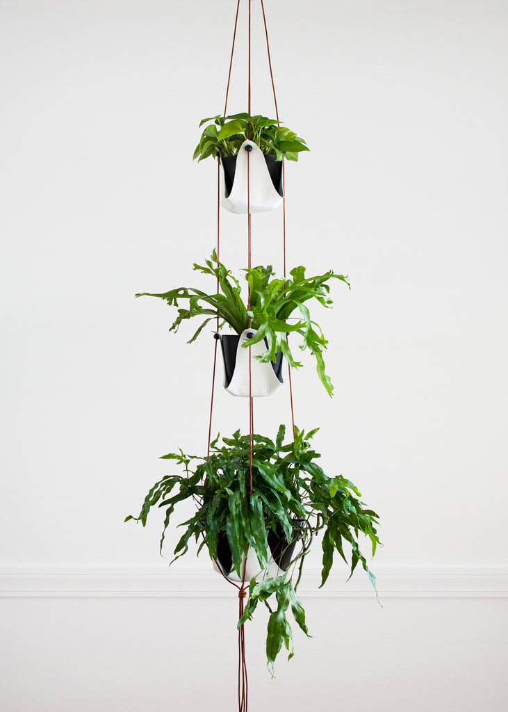 Three tier plant hanger with green leaf plants hung from ceiling against plain white wall.